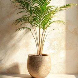 Aesthetic and Landscaping